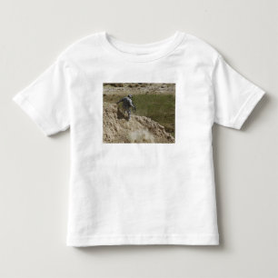 Specialist climbs down toddler t-shirt