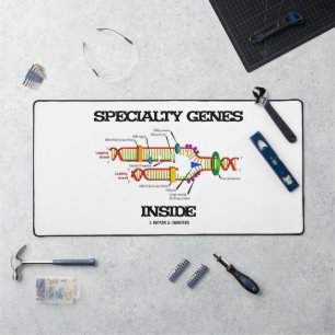 Specialty Genes Inside DNA Replication Desk Mat