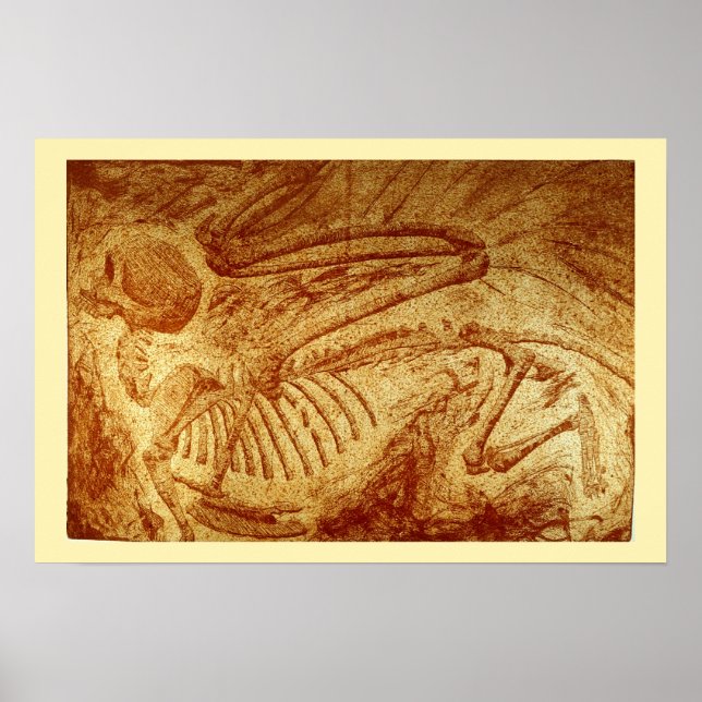 Specimen #2: Sphinx Fossil Poster (Front)