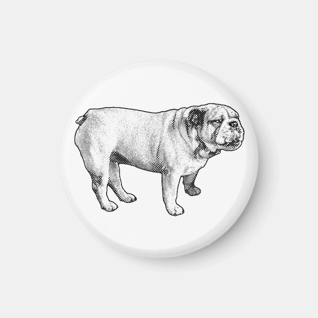speck calm, bulldog magnet (Front)