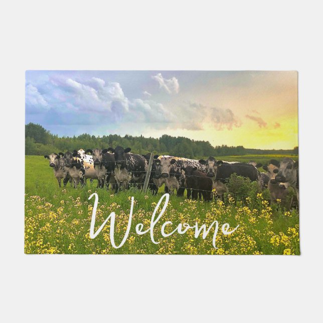 Speckle Park Cattle Under Rain Shower, Sunset Sky Doormat (Front)