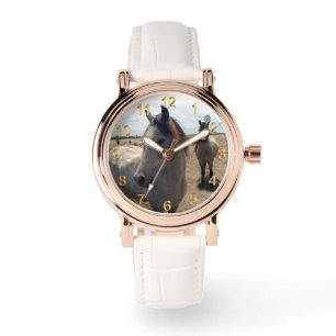 Speckled Arab Horses, Watch