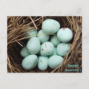 Speckled Easter eggs  real bird's nest photograph Holiday Postcard