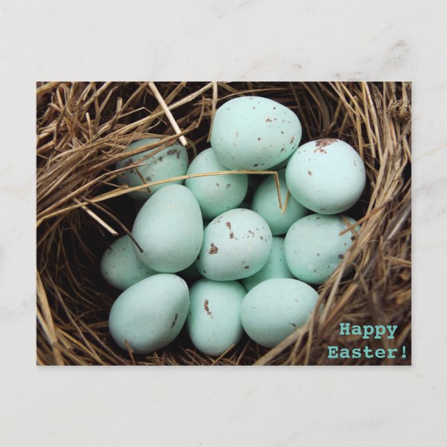 Speckled Easter eggs  real bird's nest photograph Holiday Postcard (Front)