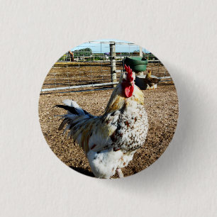 Speckled Farm Rooster, Badge 1 Inch Round Button