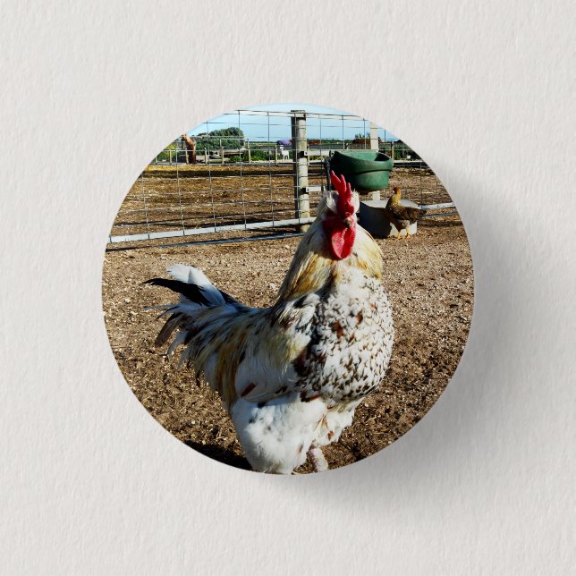 Speckled Farm Rooster, Badge 1 Inch Round Button (Front)