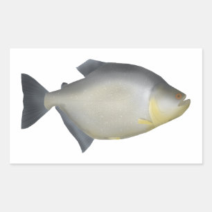 Speckled Piranha Sticker