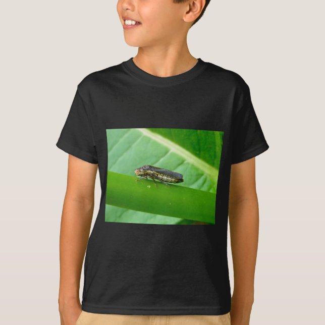 Speckled Sharpshooter Leaf Hopper Items T-Shirt (Front)