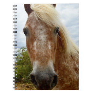 Speckled Sugar The Appaloosa Horse,  Notebook