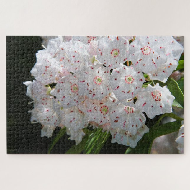 Speckled Umbrellas Jigsaw Puzzle (Horizontal)
