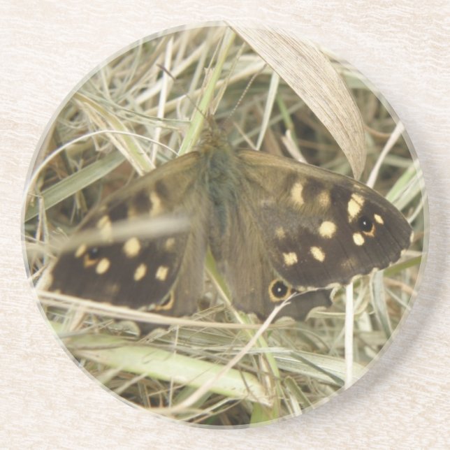 Speckled Wood Butterfly Coasters (Front)