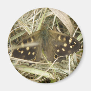 Speckled Wood Butterfly Magnet