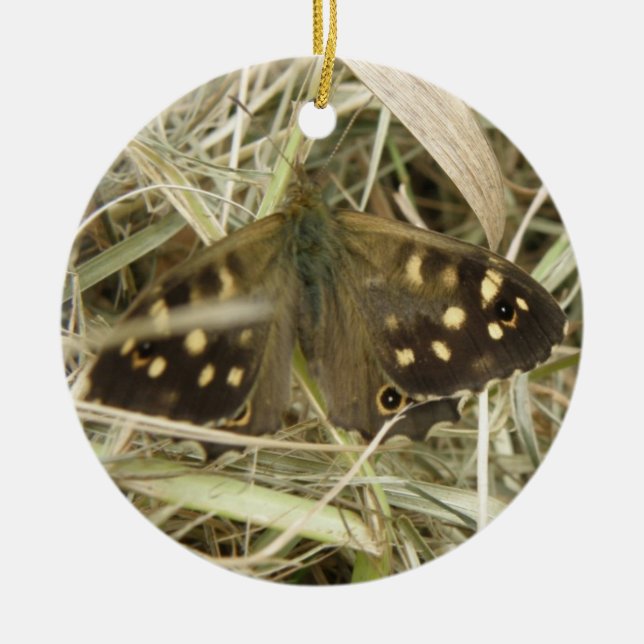 Speckled Wood Butterfly Ornament (Front)