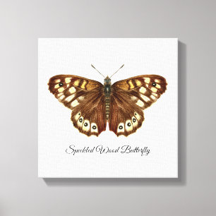 Speckled Wood Butterfly Watercolor Painting Canvas Print
