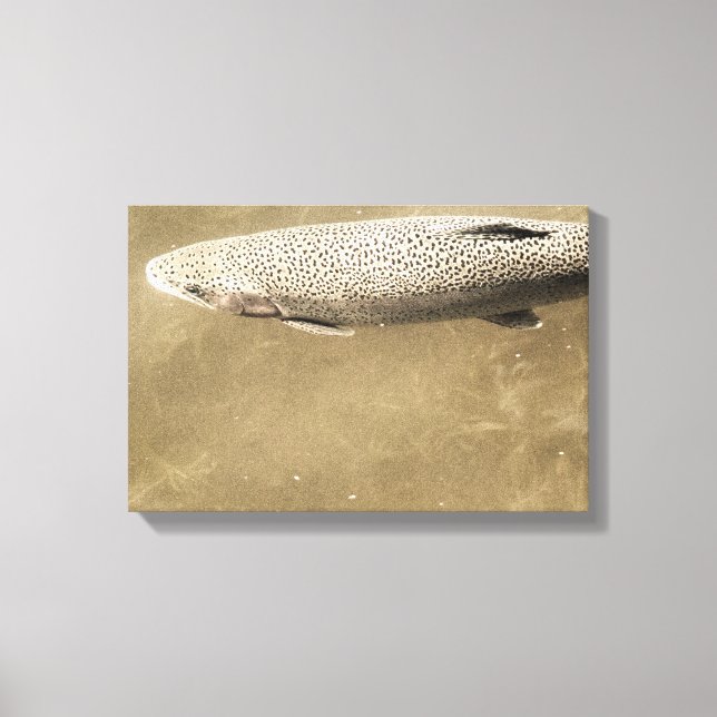 Speckles Canvas Print (Front)