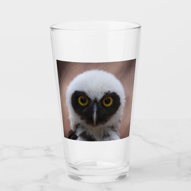 Spectacled Owl Glass (Front)