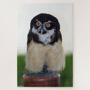 Spectacled Owl Jigsaw Puzzle