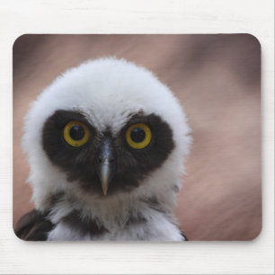 Spectacled Owl Mouse Pad