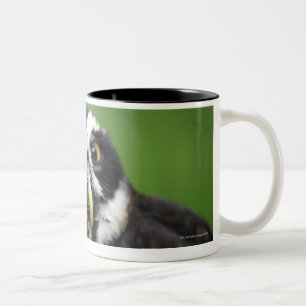 Spectacled Owl (Pulsatrix perspicillata) Two-Tone Coffee Mug