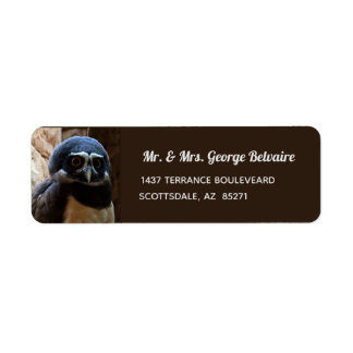Spectacled Owl Return Address Label
