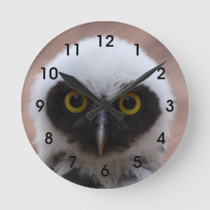 Spectacled Owl Round Clock