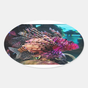 Spectacular Lionfish Oval Sticker
