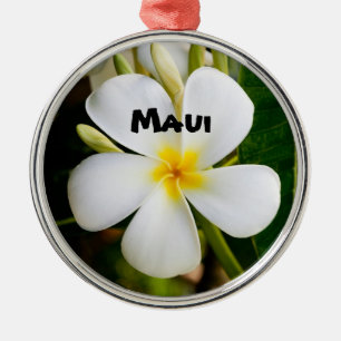Spectacular Maui Metal Ornament