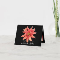 Spectacular Orange Dahlia Black Elegant Thank You