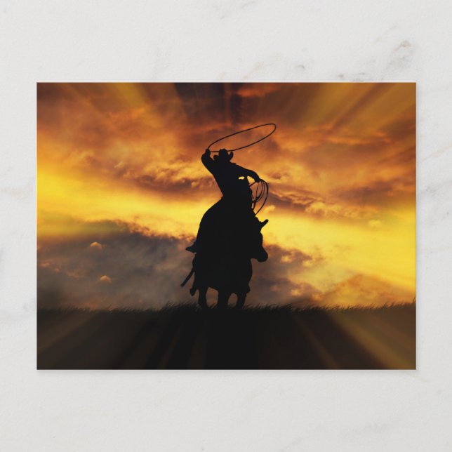 Spectacular Roping Cowboy Horse Steer and Sunset Postcard (Front)