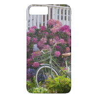 Spectacular spring bloom, whimsical antique