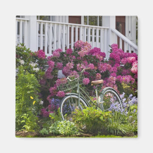 Spectacular spring bloom, whimsical antique magnet