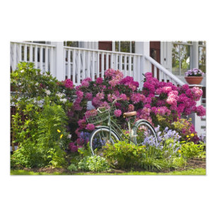 Spectacular spring bloom, whimsical antique photo print