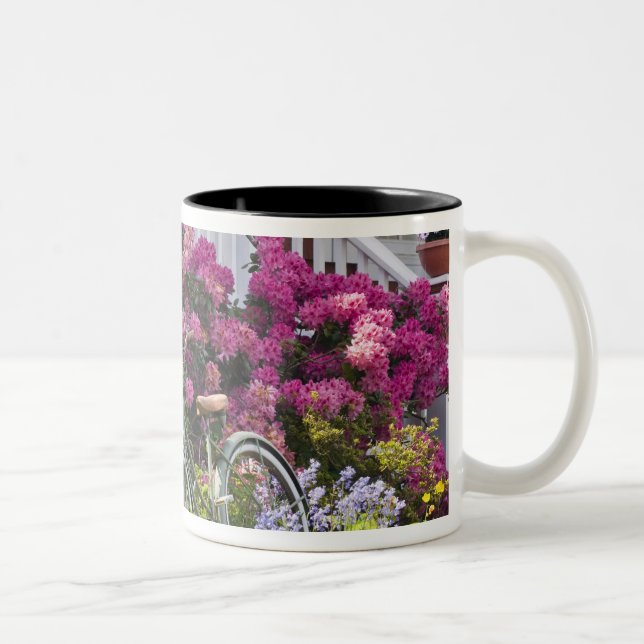 Spectacular spring bloom, whimsical antique Two-Tone coffee mug (Right)