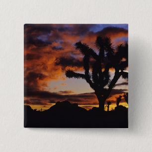 Spectacular Sunrise at Joshua Tree National 2 Inch Square Button