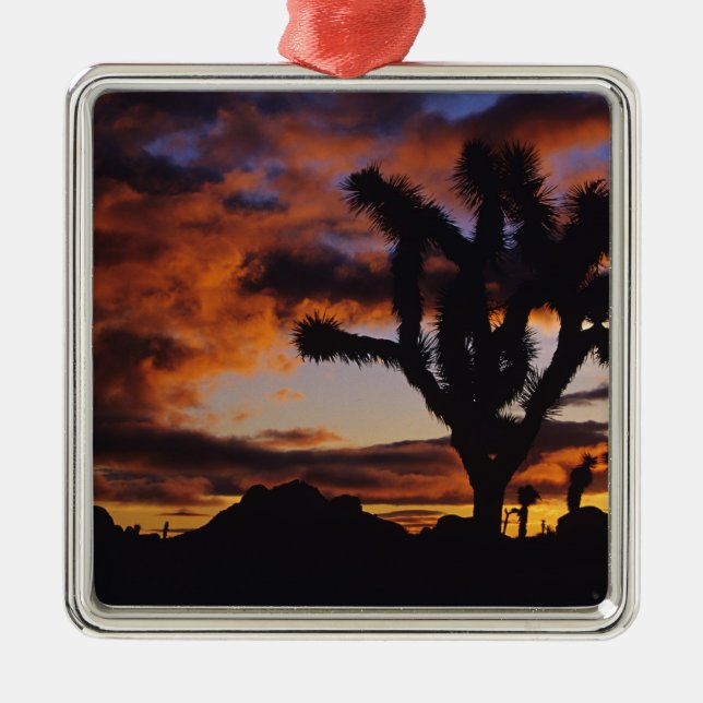 Spectacular Sunrise at Joshua Tree National Metal Ornament (Front)