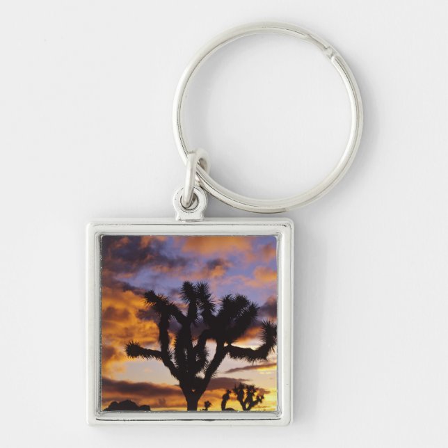 Spectacular Sunrise at Joshua Tree National Park Keychain (Front)