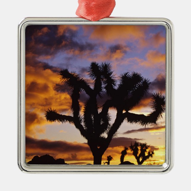 Spectacular Sunrise at Joshua Tree National Park Metal Ornament (Front)