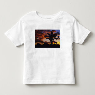 Spectacular Sunrise at Joshua Tree National Toddler T-shirt