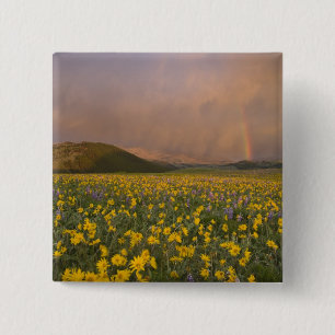 Spectacular wildflower meadow at sunrise in 2 inch square button