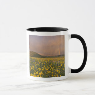 Spectacular wildflower meadow at sunrise in mug