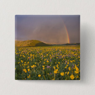 Spectacular wildflower meadow at sunrise in the 2 inch square button