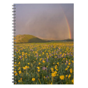 Spectacular wildflower meadow at sunrise in the 2 notebook