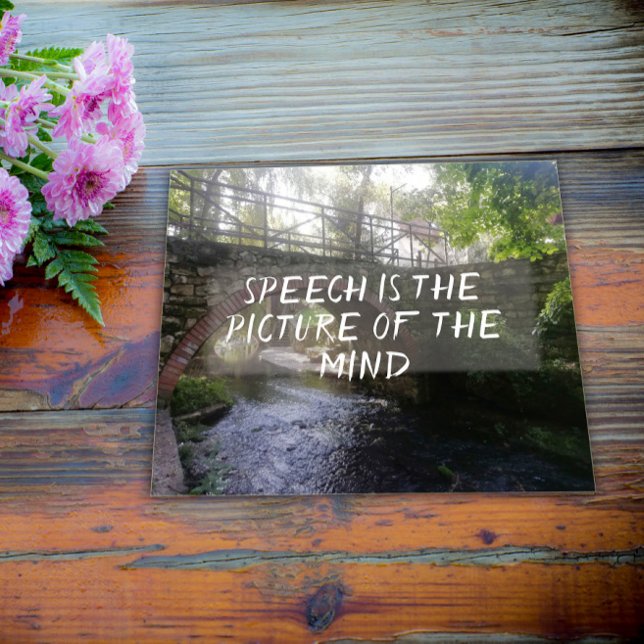 Speech is the picture of the mind proverb poster (Creator Uploaded)