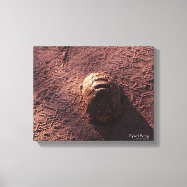 Speed Bump Canvas Print (Front)