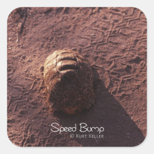 Speed Bump Square Sticker