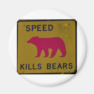 speed kills bear magnet