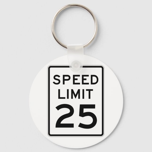 Speed Limit 25 Street Sign Keychain (Front)