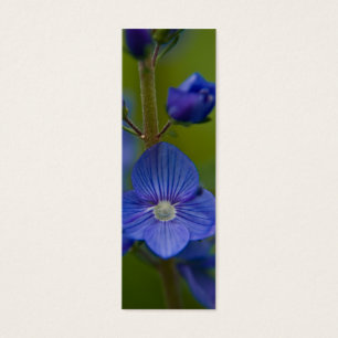 Speedwell Bookmark
