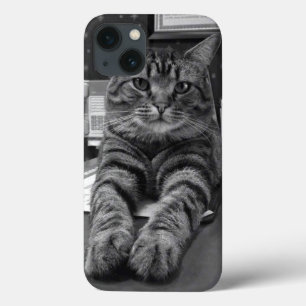 Spencer Cat iPhone 6 Case