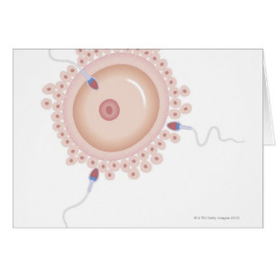 Sperm Containing Mutated Gene